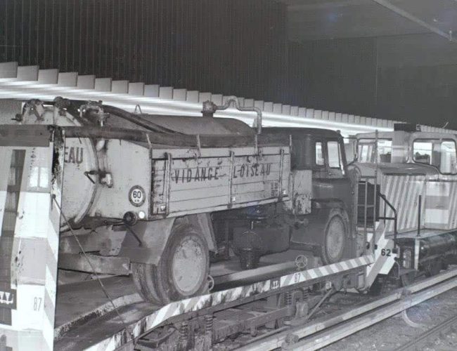 lavidangeloiseau-historique-1