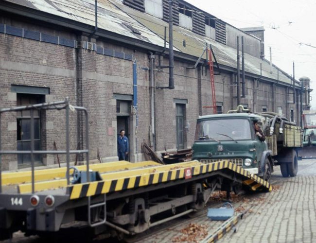 lavidangeloiseau-historique-3